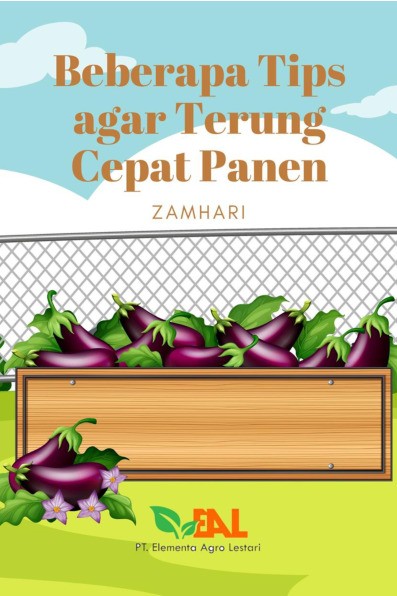Beberapa Tips Agar Terung Cepat Panen